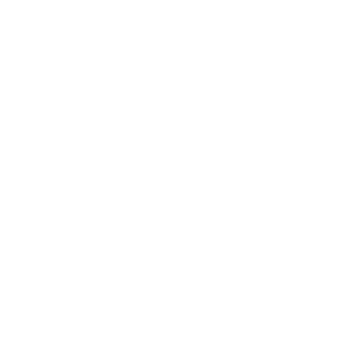 MADE IN ITALY